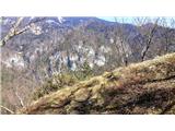 Poljana (Završnica)  - Sveti Lovrenc above Zabreznica