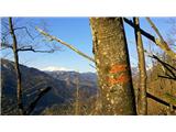 Poljane (Spodnje Gorje) - Boršt
