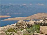 Avtokamp Šimuni - Sv. Vid (otok Pag)