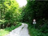 Mrzovec - krožna tura na Prevalu odcep levo na gozdno cesto