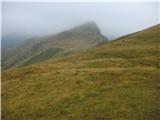 Passo Valles - Cima Venegiotta