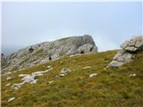 Passo Valles - Cima Venegiotta