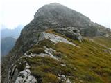 Passo Valles - Cima Venegiotta