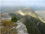 Passo Valles - Cima Venegiotta