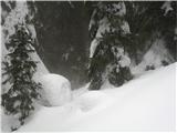 po gozdu s planine Luža je ogromno snega