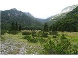 Monte Frascola dolina Viellie in bivak Cjampis v zatrepu