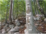 Odcep poti - v desno (rdeče pike na skalah in maska na drevesu) čez Brinje