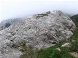 Tej skalci se pa reče Kamrca-na tej skali sem našel clusijev petoprstnik.