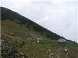 Za konec pa še planina Košutna s pastirsko kočo in kapelico in živino vred.