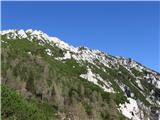 Storžič od Jekarice, Mali Grintavec, Bašeljski vrh Pogledi s poti na desno stran.