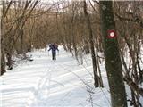 Jurišče - Kršičevec V gozdu je več snega