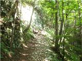 Beli Potok at Frankolovo - Špicasti vrh (Kislica)