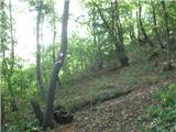 Podevčevo - Čevo