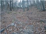 Zagorje ob Savi - Vrh (Šticna)