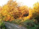 Planina Donja - Rog (Medvednica)