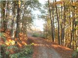 Planina Donja - Rog (Medvednica)