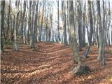 Planina Donja - Rog (Medvednica)