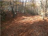 Planina Donja - Rog (Medvednica)