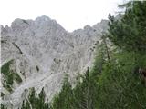 Meli Košuta in Plešivec iz Šajde (Geološka pot) na videz neprehodna podrtija, Meli Košuta je najvišji vrh
