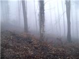 Gornje Jesenje - Sušec (Strahinjščica)