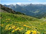 Joch-Tscheltscher Alpe Vse v rumenem in zelenem