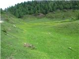 Vračamo se po slovenski strani. prek te zelene pašne planine.To je planina Grajščica.