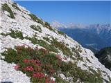 Cima Spe (2314) pri vzponu na Cimo Spe sem občudoval najlepše Dolomitske gore