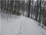 snega spodnjem delu poti 15 -25 cm
