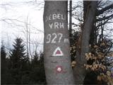 Debeli vrh (Bohor)