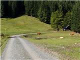 Krog petih planin v Karnjiskih Alpah Tura je slikovita že na začetku ture