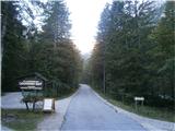 Logarski kot - Rjavčki vrh (Planinšca)