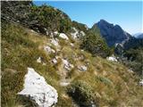 Logarski kot - Rjavčki vrh (Planinšca)