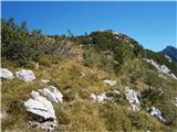 Logarski kot - Rjavčki vrh (Planinšca)