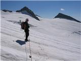 Dreiherrnspitze (3499) prečenje ledenika Umbalkees