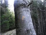 Ston- Medvedjak- Tirske peči-  do hotela - Boskovec- Alpski vrt- Ston oznake na drevesih  nad pečmi