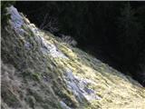 Ston- Medvedjak- Tirske peči-  do hotela - Boskovec- Alpski vrt- Ston avrikelj v pečeh