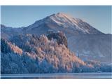 Bled Castle