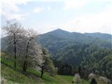 Sv.Ožbolt 859m (prečenje Polhograjskih Dolomitov) Krasen pomladanski pogled na Tošč