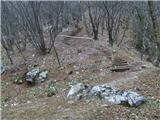 Selo pri Žirovnici - Sveti Lovrenc above Zabreznica