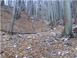 Koroška Bela (RC Kres) - Planina Stamare