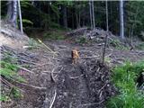 Koroška bela (Jesenice) - Valvasorjev dom pod Stolom