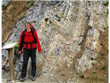 Geološka ekskurzija v Dolomite 