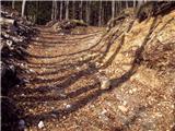 Koroška Bela (RC Kres) - Planina Stamare