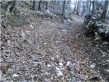 Koroška Bela (RC Kres) - Planina Stamare