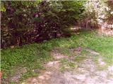 Jesenice (Ukova) - Španov vrh