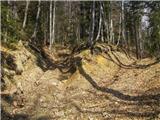 Koroška Bela (RC Kres) - Planina Stamare