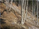 Koroška Bela (RC Kres) - Planina Stamare