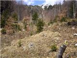 Koroška Bela (RC Kres) - Planina Stamare