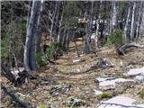 Koroška Bela (RC Kres) - Planina Stamare