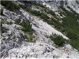 Monte Scinauz mavzdol